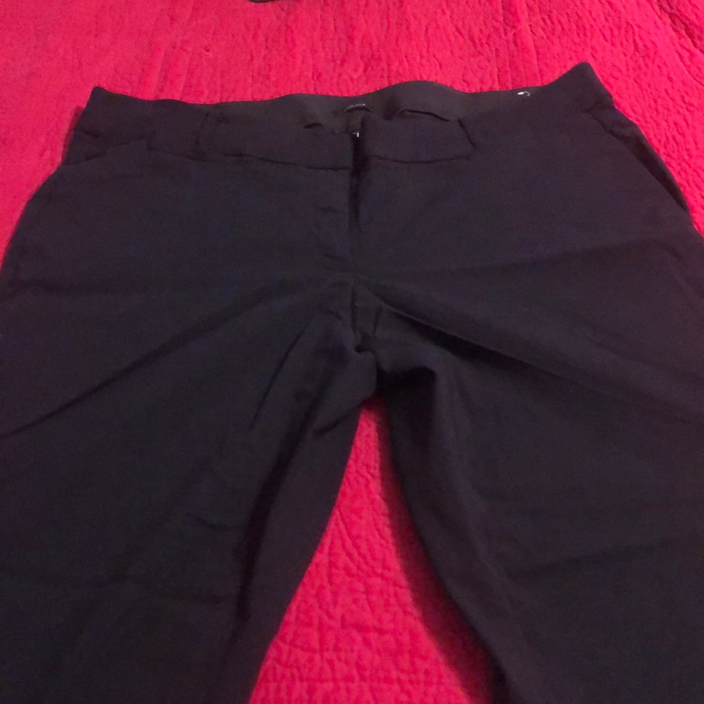 Lane Bryant Allie slacks
